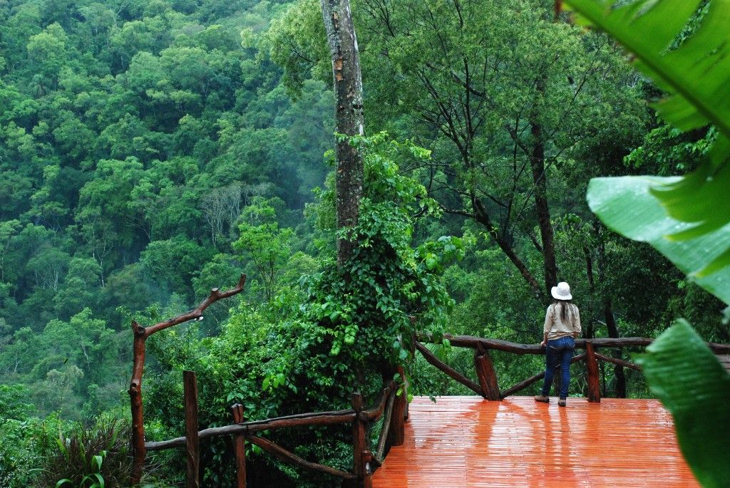 Viagi:DE LA SELVA A LOS GLACIARES Desde: $1,258.00 USD En ocupación Doble